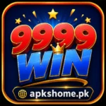 9999Win