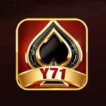 Y71
